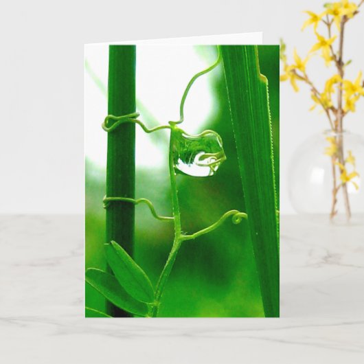 The Fool, Tarot in Nature, New Beginnings カード (黄色い花)