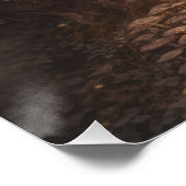 The Forest Dreamer ポスター (コーナー)