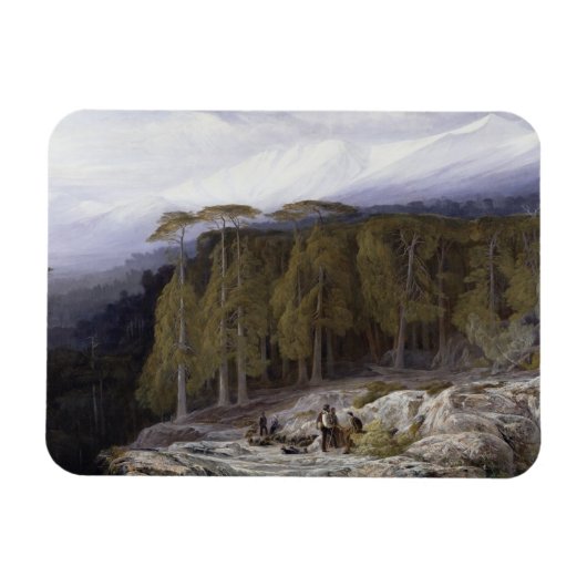 The Forest of Valdoniello, Corsica, 1869 (c油) マグネット (横)