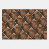 The Four Elements: Earth - Giuseppe Arcimboldo ラッピングペーパーシート (正面2)