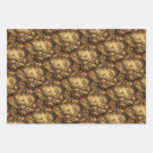 The Four Elements: Earth - Giuseppe Arcimboldo ラッピングペーパーシート (正面)