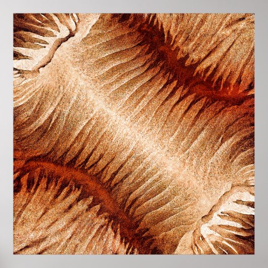 The Fragile Roar ポスター (正面)