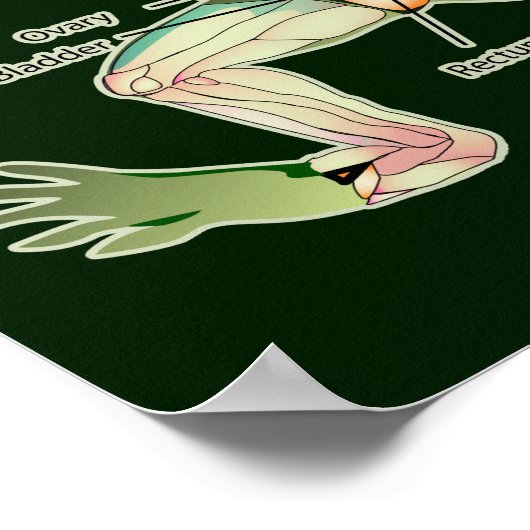The Frog's Anatomy Dark Graphic ポスター (角)