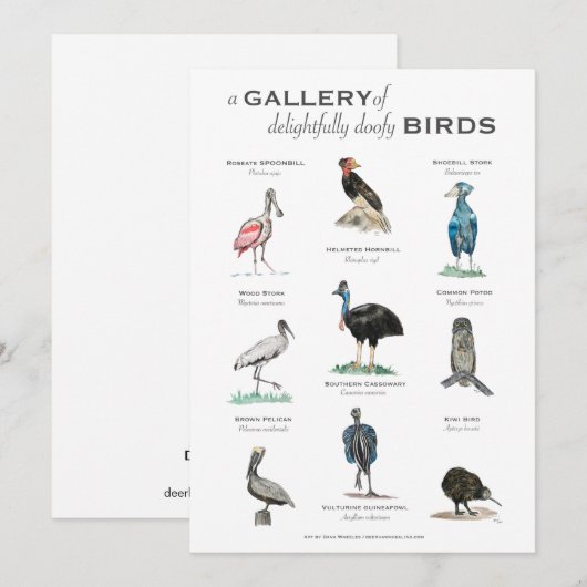 The Gallery of Delugfully Doofy Birds 5x7カード (正面/裏面)