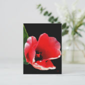 The Garden Postcardから ポストカード (スタンド正面)