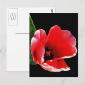 The Garden Postcardから ポストカード (正面/裏面)