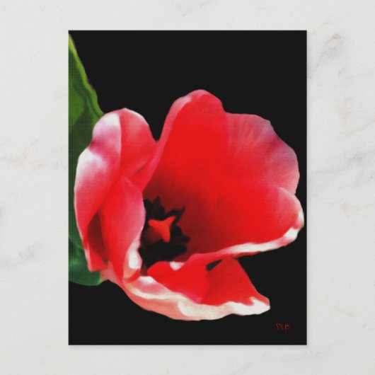 The Garden Postcardから ポストカード (正面)