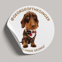 The George | モダンペットインフルエンサー 写真 1.5"