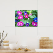 THE GLORY OF THE MORNING GLORY  ポスター (キッチン)