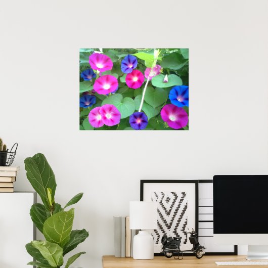 THE GLORY OF THE MORNING GLORY ポスター (ホームオフィス)