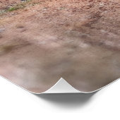 The Goddess of the Pines ポスター (コーナー)