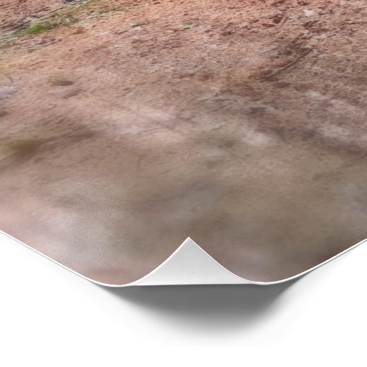 The Goddess of the Pines ポスター (コーナー)