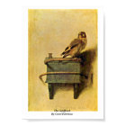 The Goldfinch. By Carel Fabritius