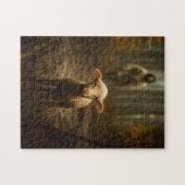 The Good Shepherd and the Lost Lamb – Jesus & Lamb ジグソーパズル (横)