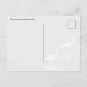 The great egret (Ardea alba) birds ポストカード (裏面)