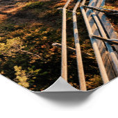 The Great Kemeri Bog Boardwalk, Latvia ポスター (角)