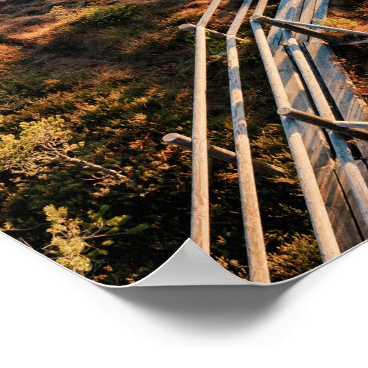 The Great Kemeri Bog Boardwalk, Latvia ポスター (角)