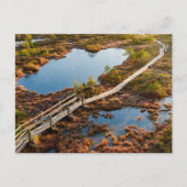 The Great Kemeri Bog Boardwalk, Latvia ポストカード (正面)