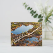 The Great Kemeri Bog Boardwalk, Latvia ポストカード (スタンド正面)