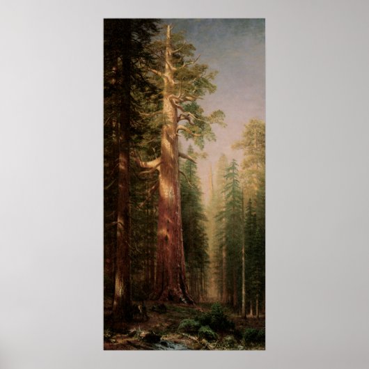 The Great Trees, Mariposa Grove, CA by Bierstadt ポスター (正面)