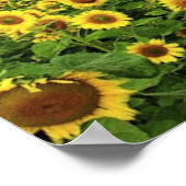 The_Greatness_of_自然_(5) ポスター (角)