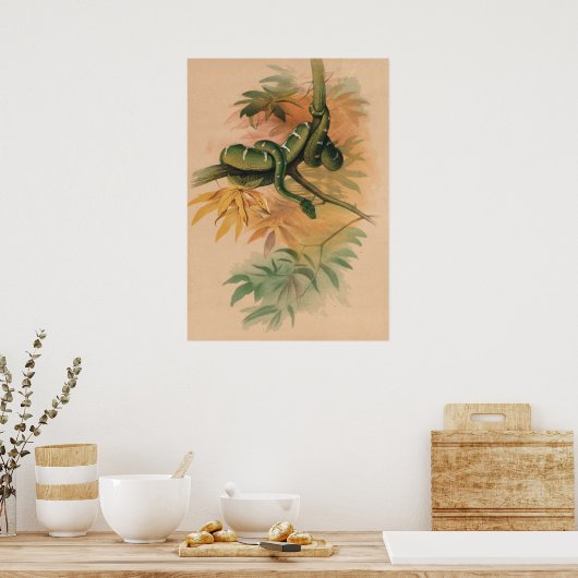 The Green Boa by Joseph Wolf ポスター (キッチン)