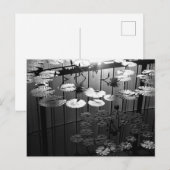 The Greenhouse: 新宿御苑, 東京 ポストカード (正面/裏面)