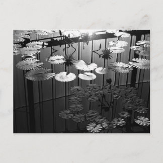 The Greenhouse: 新宿御苑, 東京 ポストカード