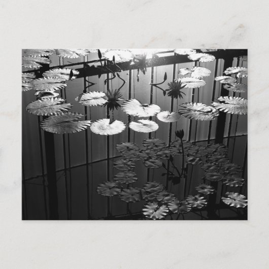 The Greenhouse: 新宿御苑, 東京 ポストカード (正面)