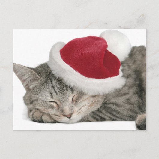 The Grey Cat Sleeps In A New Year's Cap シーズンポストカード (正面)