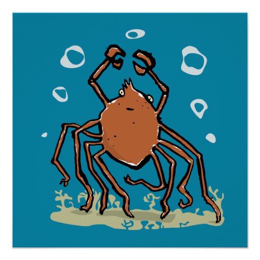 the groovy sea spider ポスター (正面)