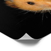 The Hamster Poster ポスター (角)