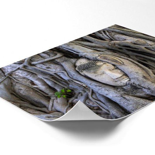 The head in the tree ポスター (角)