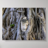 The head in the tree ポスター (正面)