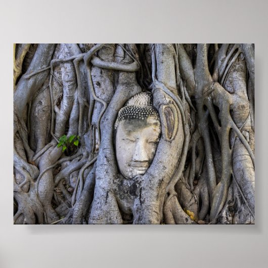 The head in the tree ポスター (正面)