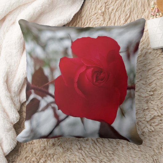 The Heart of Winter  クッション (ブランケット)