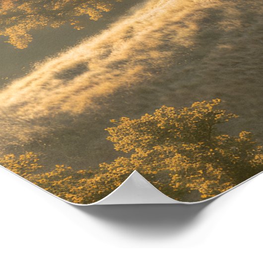 The Hills ポスター (角)