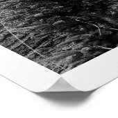 The Holiday Post Newspaper Christmas Tree Farm ポスター (角)