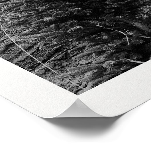 The Holiday Post Newspaper Christmas Tree Farm ポスター (角)