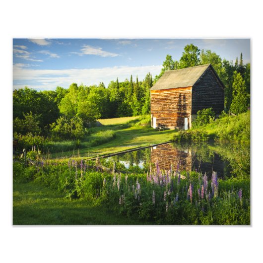 The John Brown Farm in the Adirondacks, N.Y. フォトプリント (正面)