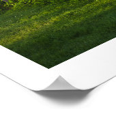 The John Brown Farm in the Adirondacks, N.Y. ポスター (角)