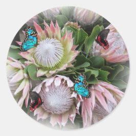 The King Protea ラウンドシール