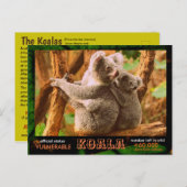 THE KOALA (Bear)は絶滅危惧種である読。 - ポストカード (正面/裏面)