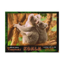 THE KOALA (Bear)は絶滅危惧種である読。 -