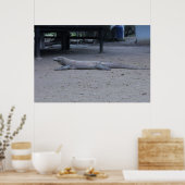 The Komodo Dragon ポスター (キッチン)