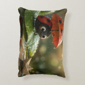 The Ladybug and the Hidden Nectar Kingdom.10 アクセントクッション (裏面(縦))