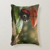 The Ladybug and the Hidden Nectar Kingdom.10 アクセントクッション (正面(垂直))