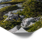 The Lakes of Covadonga, Asturias, Spain travel ポスター (角)