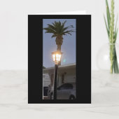 The Lamp And The Palm Tree 🌴 カード (正面)