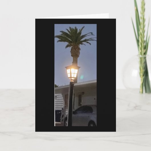 The Lamp And The Palm Tree 🌴 カード (正面)